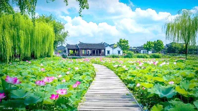 微信图片_20260506112404_594_6013.jpg