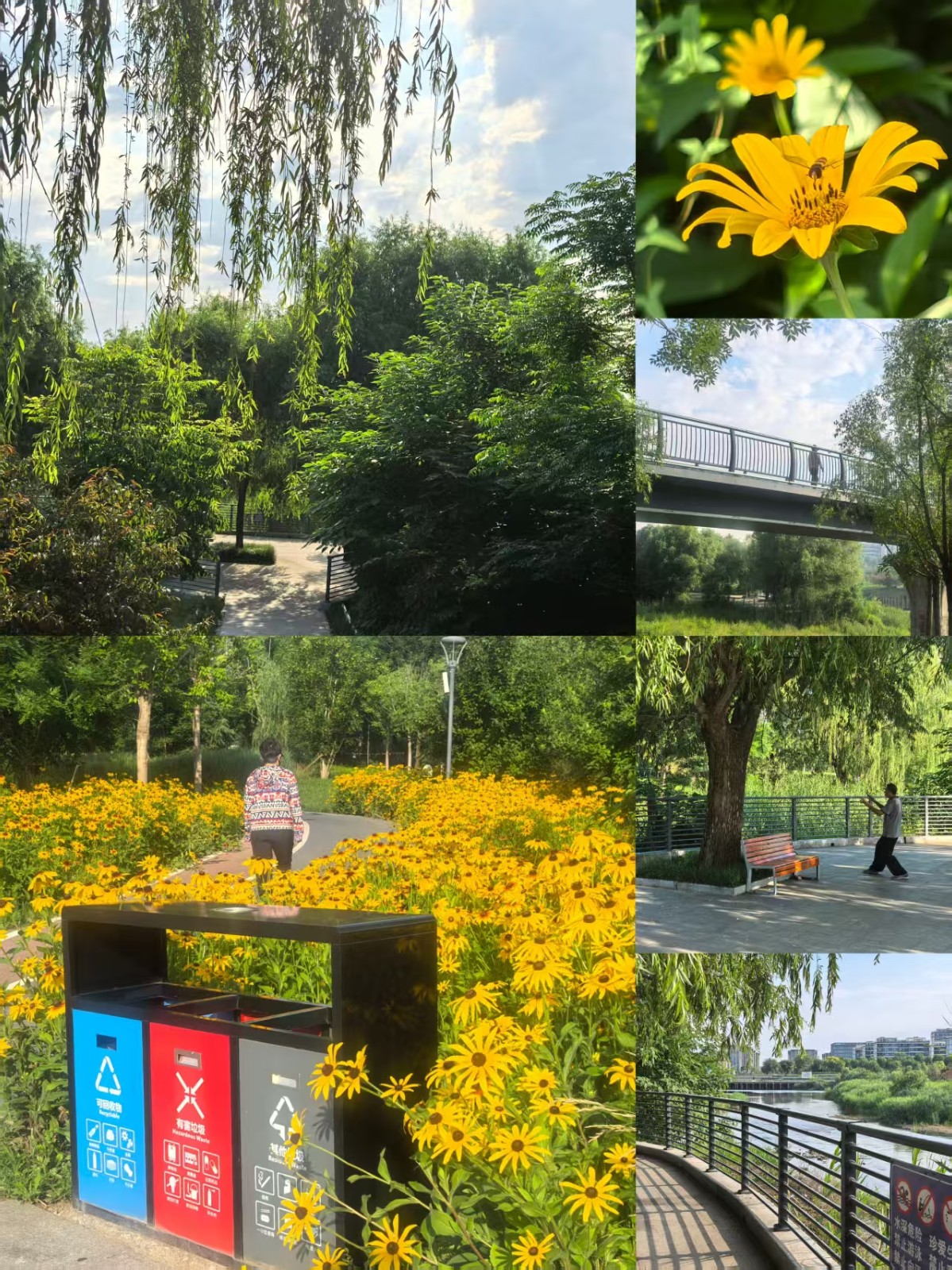 微信图片_20260610221922_3_2.jpg