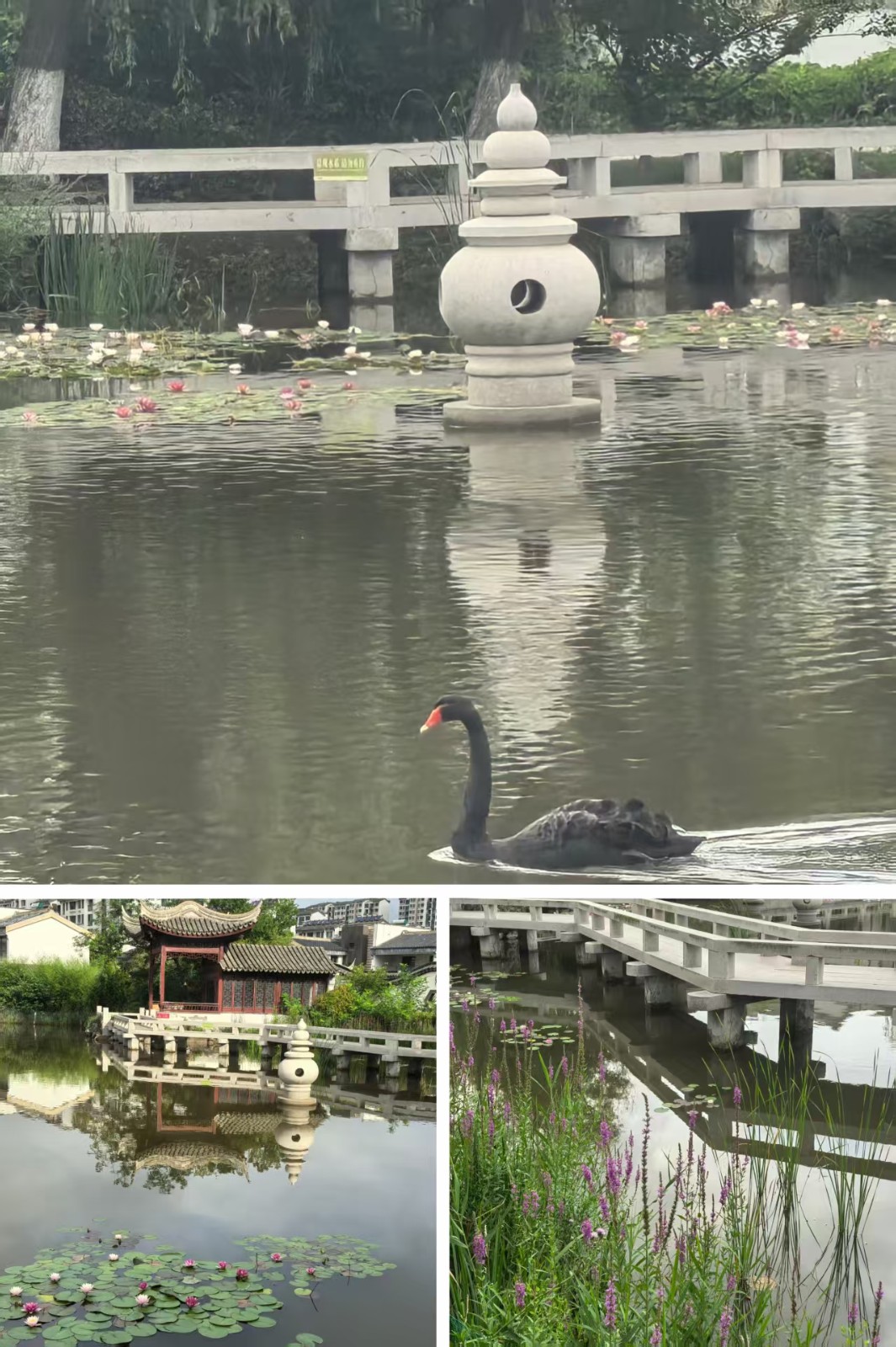 微信图片_20260727224221_70_2.jpg
