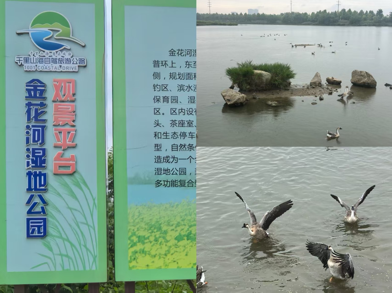 金花河湿地公园.jpg